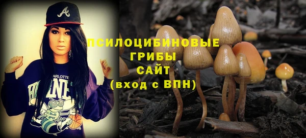 гидропоника Богородицк