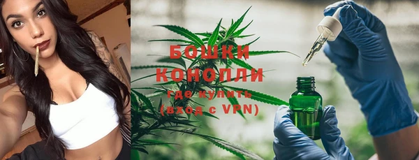гидропоника Богородицк