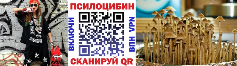 Галлюциногенные грибы Psilocybe  Владивосток 